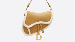 Dior designer Saddle bag