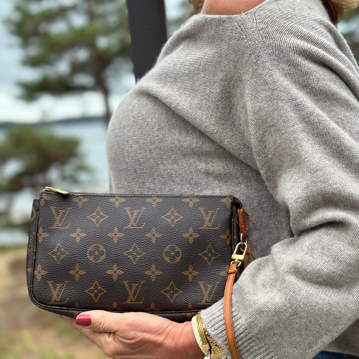 Louis Vuitton designer bags