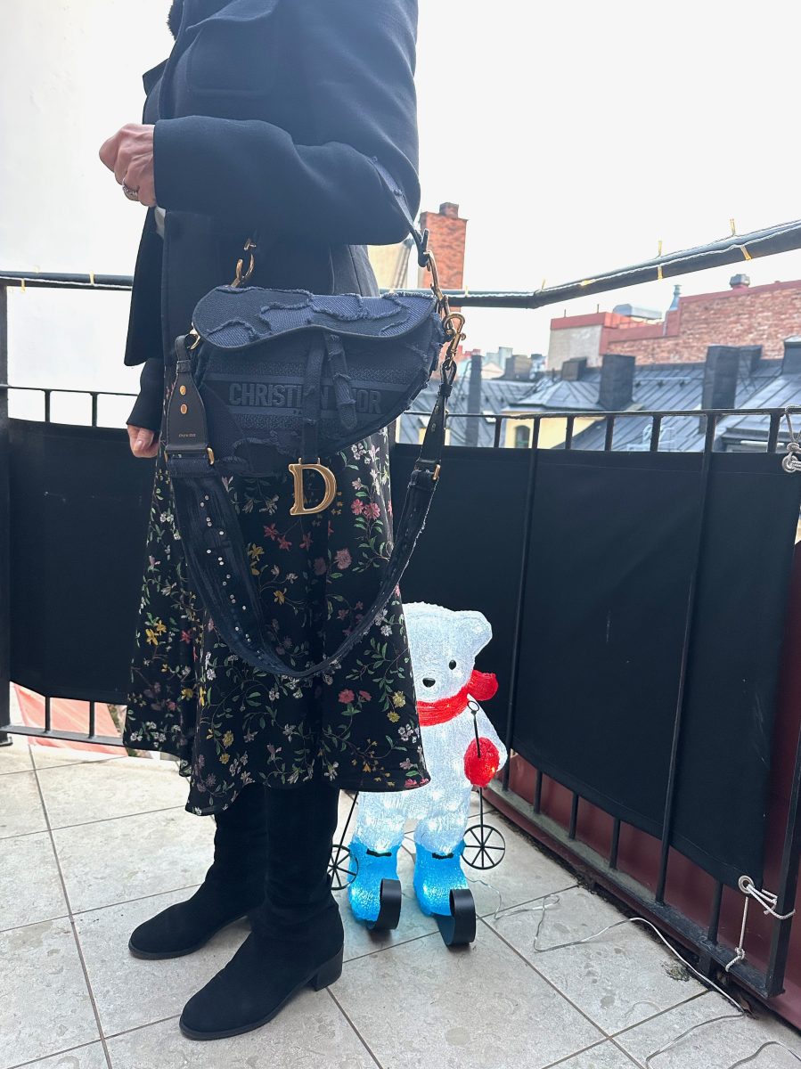 Dior Saddle bag väska denom